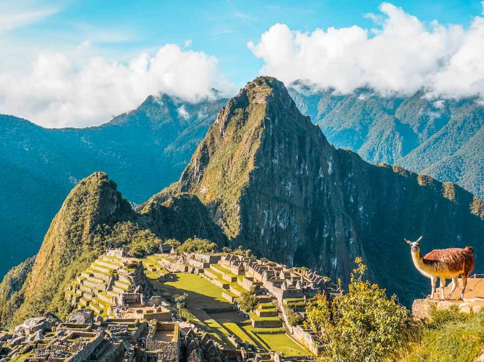 View Machu Picchu and a llama during the late afternoon