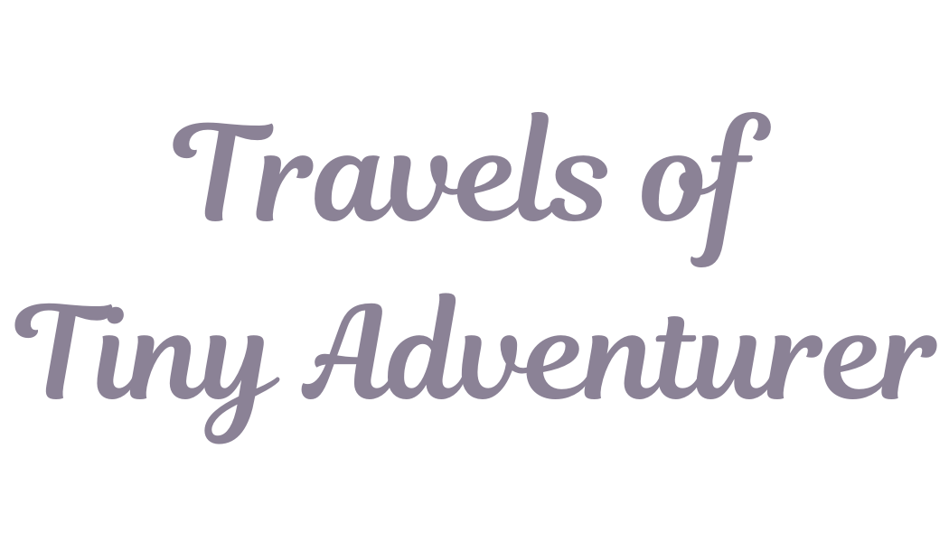 Travels of Tiny Adventurer